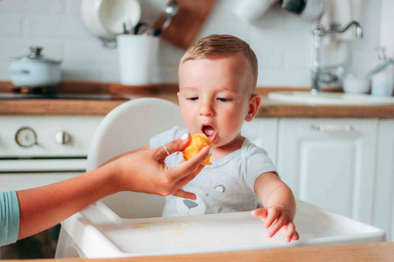 How to Start Solid Foods? Extensive Guide on the Topic That Causes Concern