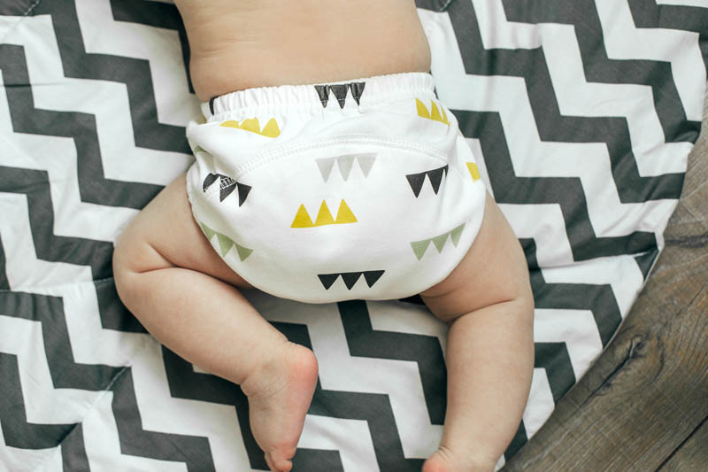 best cloth diapers for newborns